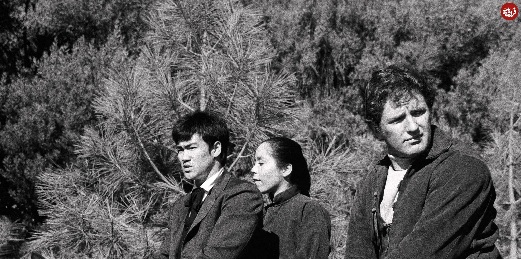 عکس| سفر در زمان؛ «بروسلی» در 29 سالگی و سوار بر اسب؛ سال 1348