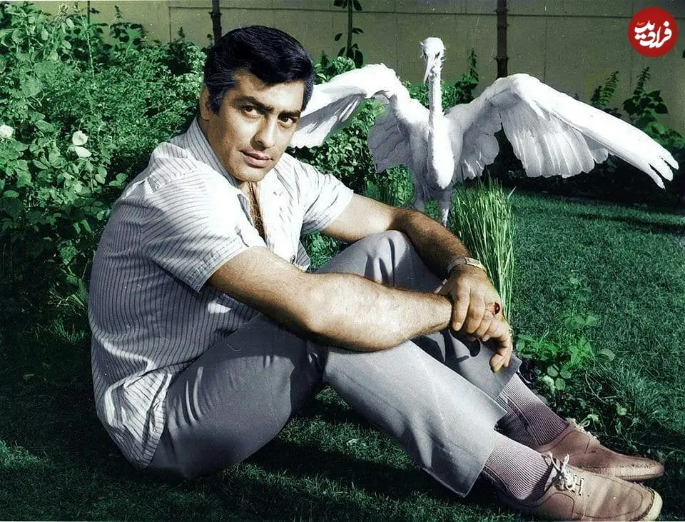 67177558_341233443491455_7146441039237087232_n