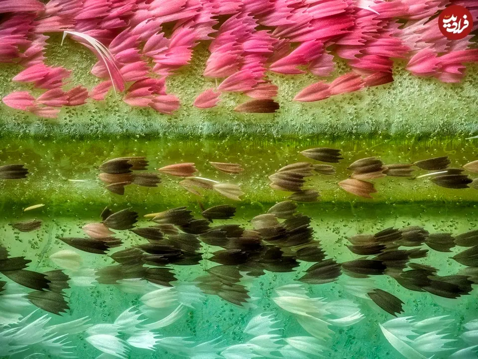 17th-2023_ji_yuan_e29589_f19686