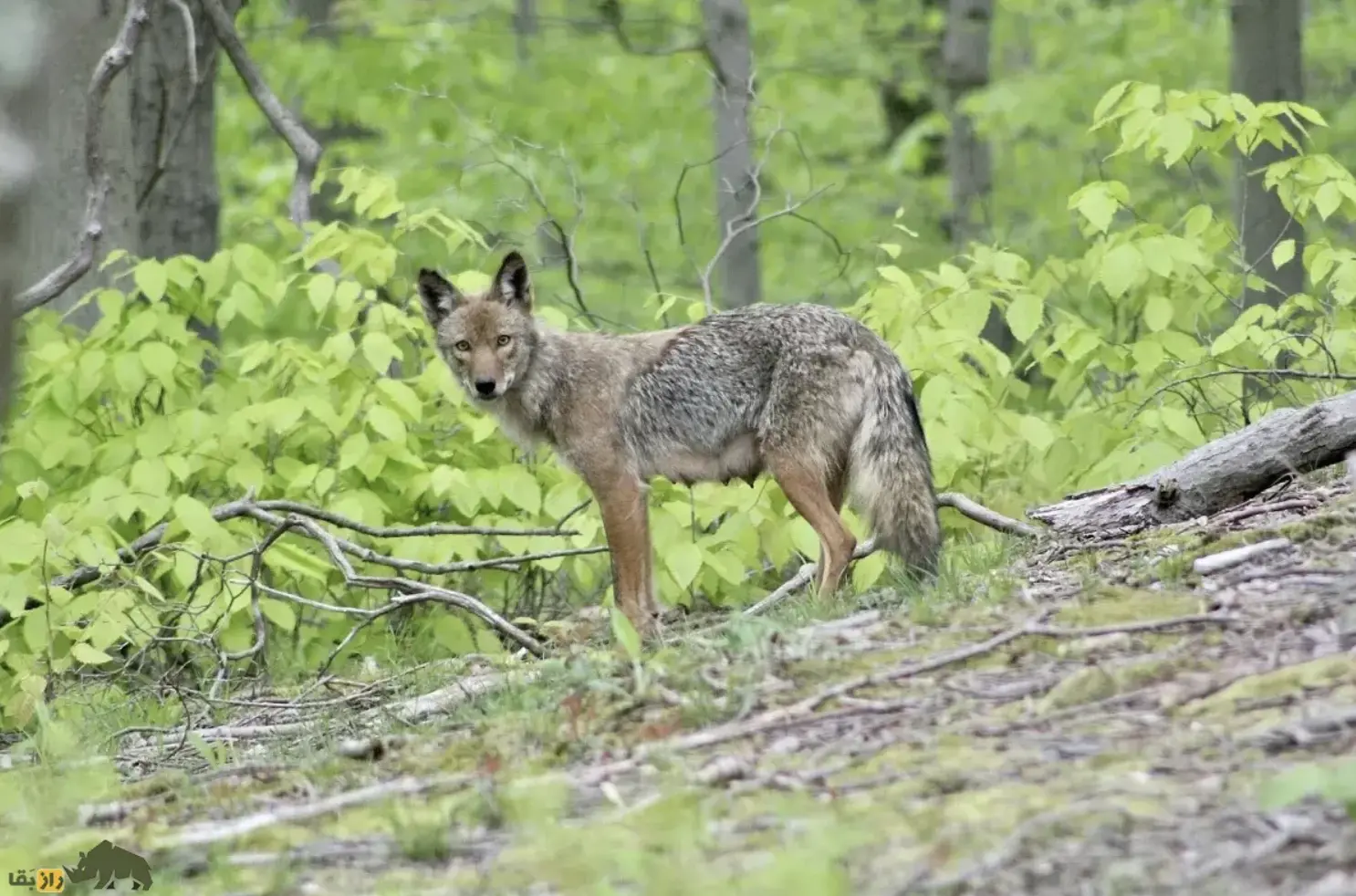 Screenshot 2026-01-21 223822