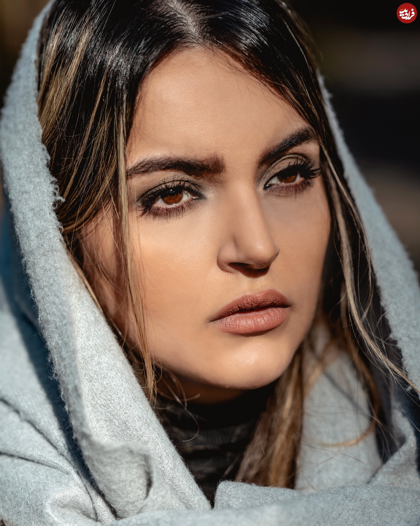 niloufar_parsa_1730660459_3493355590899564622_1041017484