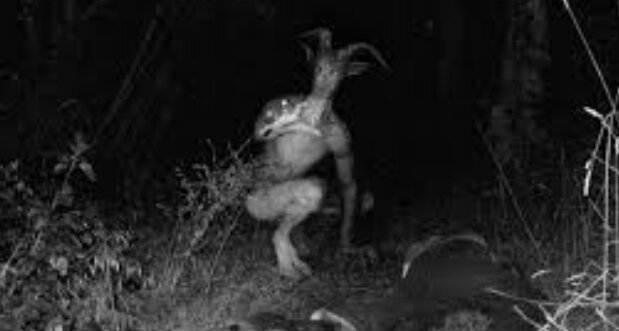 57