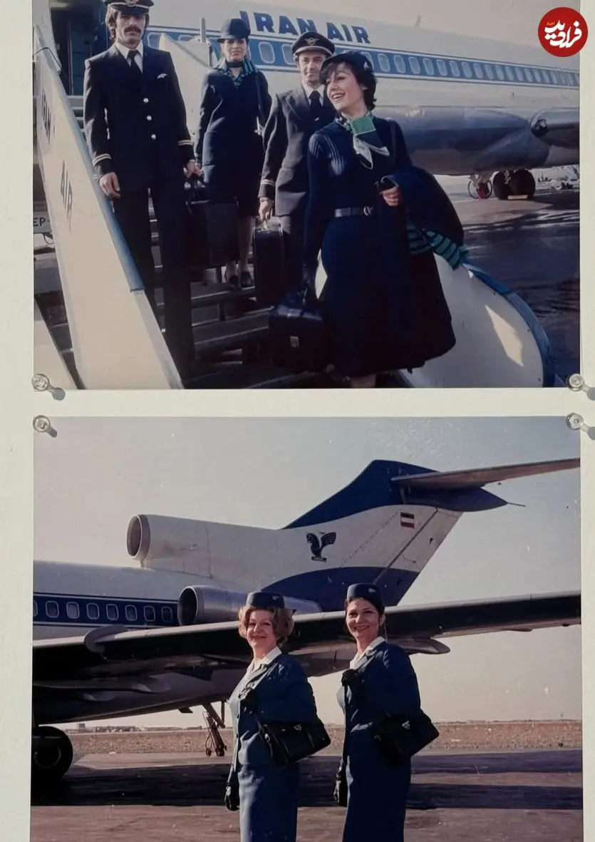 tpmarchive_1781908190_3923252417189110345_73287844745