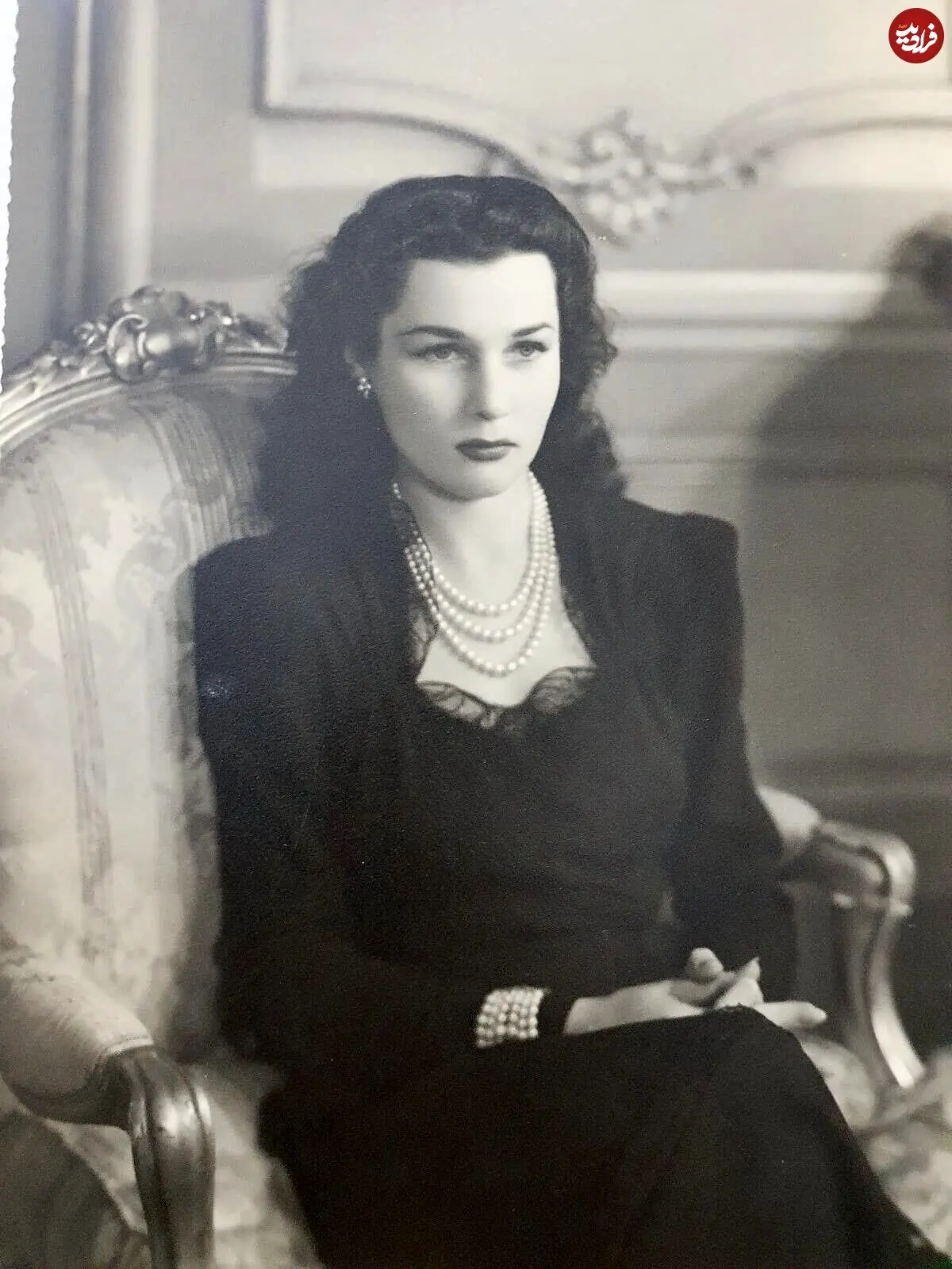 485279779_9481137295311451_4998742938305407318_n