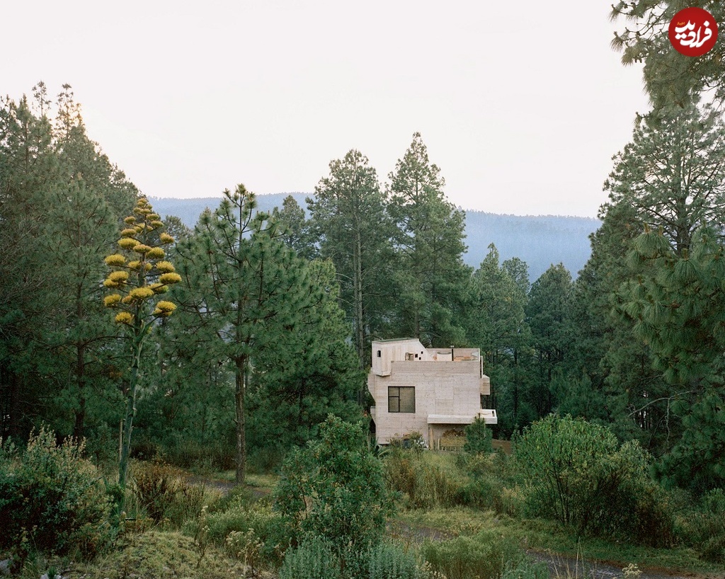 ludwig-godefroy-casa-alferez-architecture_dezeen_2364_col_21