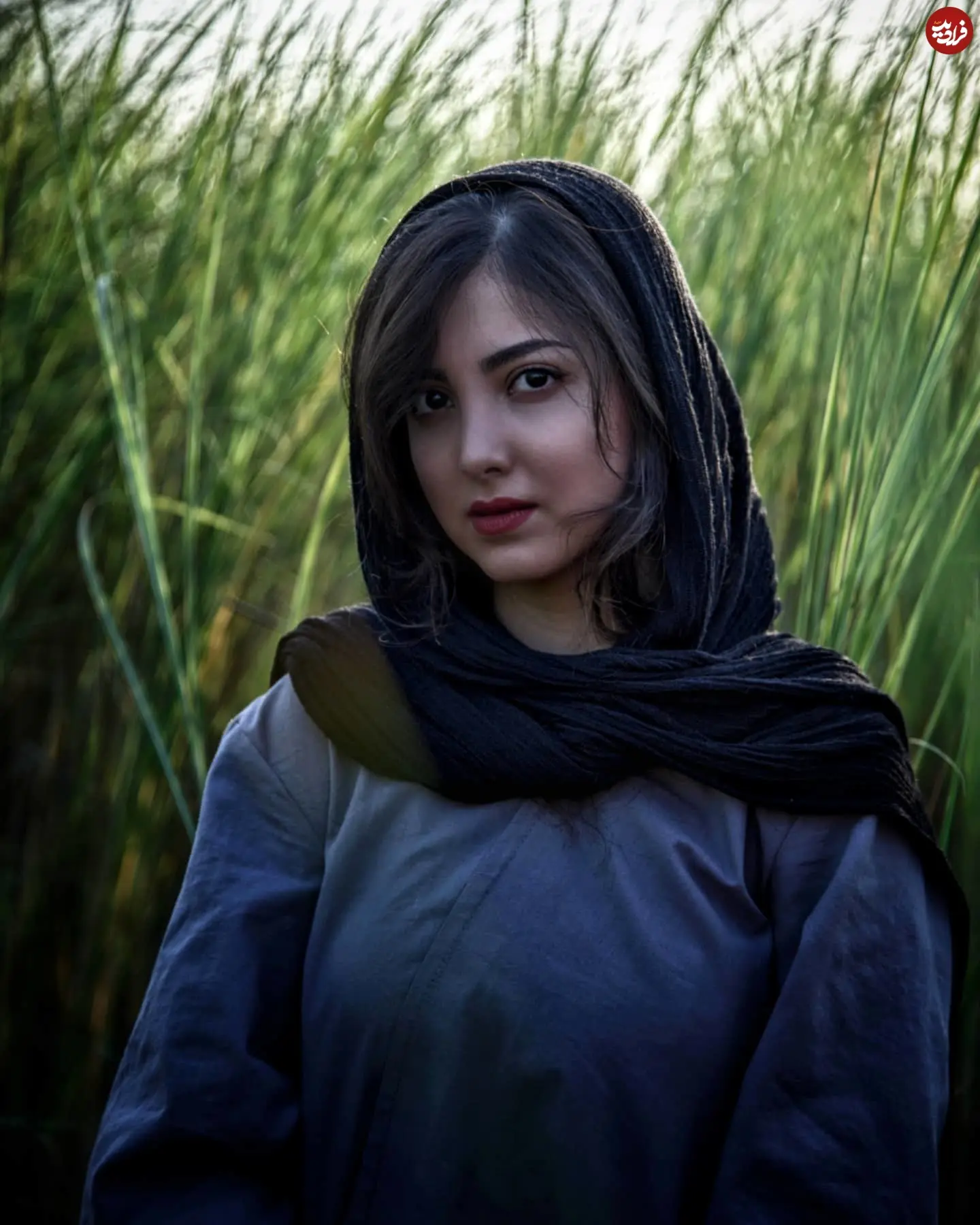 zibakaramali_1607220907_2457869574444465942_1484489037