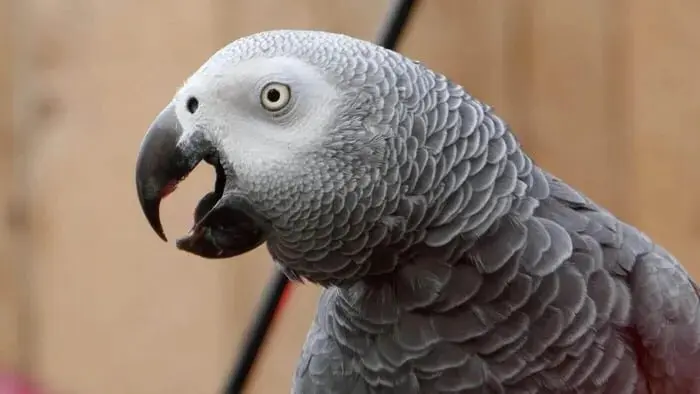 72