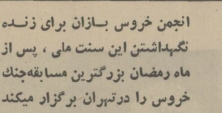 عکس, سفر در زمان؛ یک گزارش خواندنی از خروس‌بازان تهران در سال ۵۴