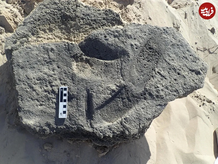 باورنکردنی؛ کشف یک کفش 148 هزار ساله