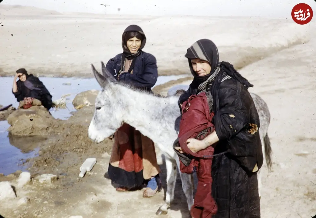 زنها با الاغ