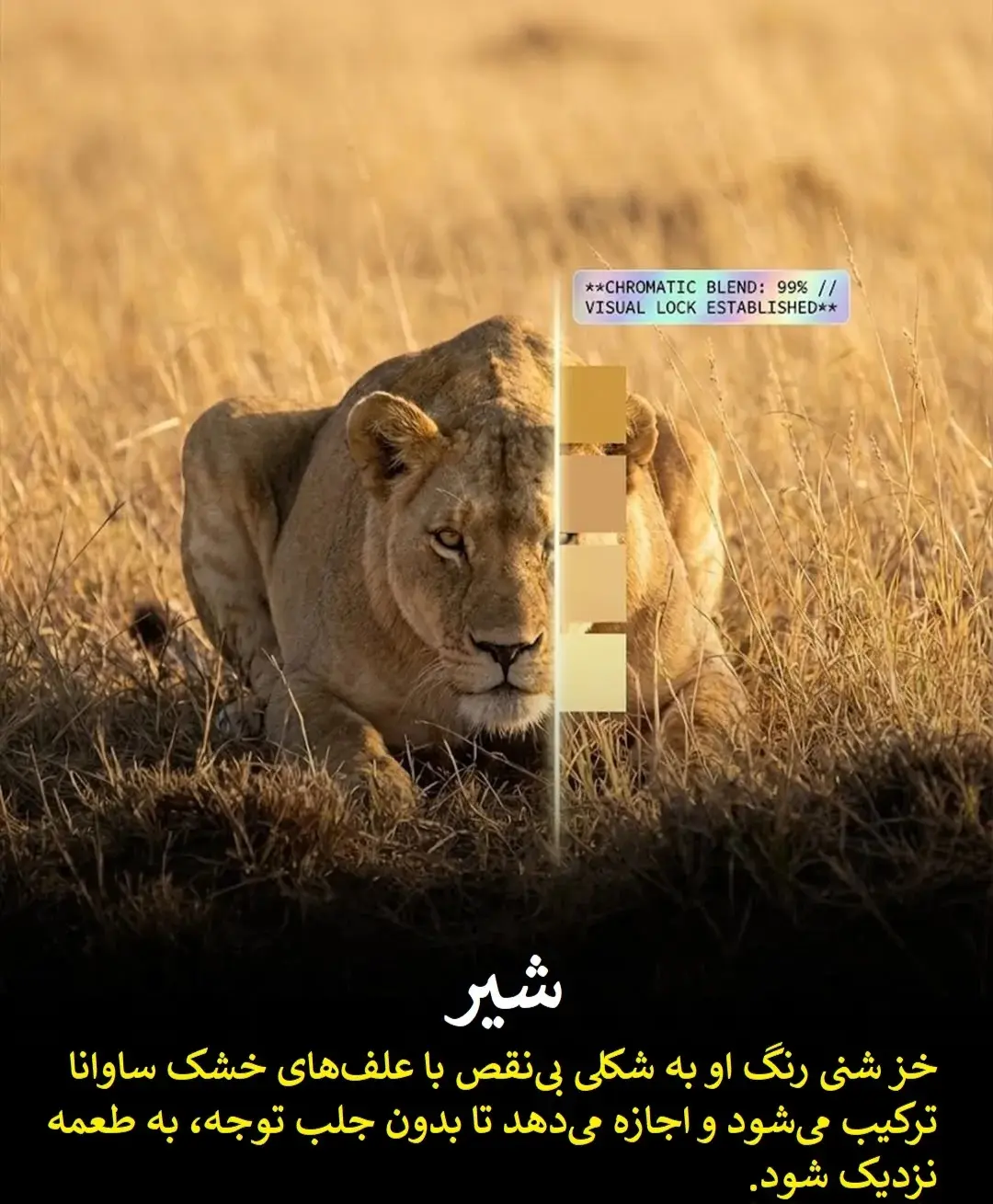 9dd3ff67ZTp3ZWJwfGY6MjQ5MTYxOC5qcGd8ZnVpOjIzODU3ODV8bDpmYXx2OjE