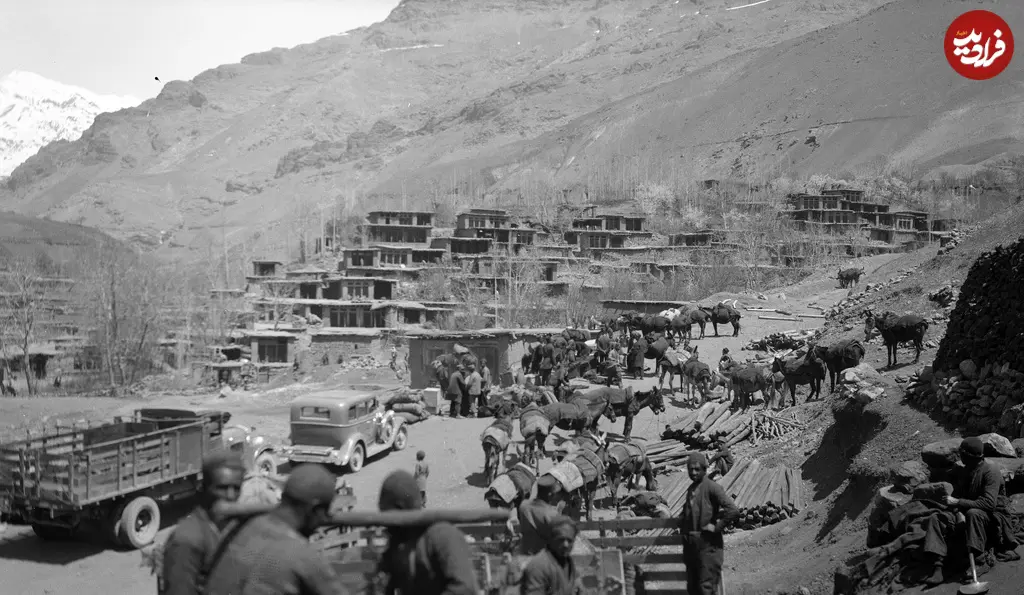 میگون 12