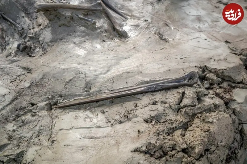 87a6778d85f29324_org