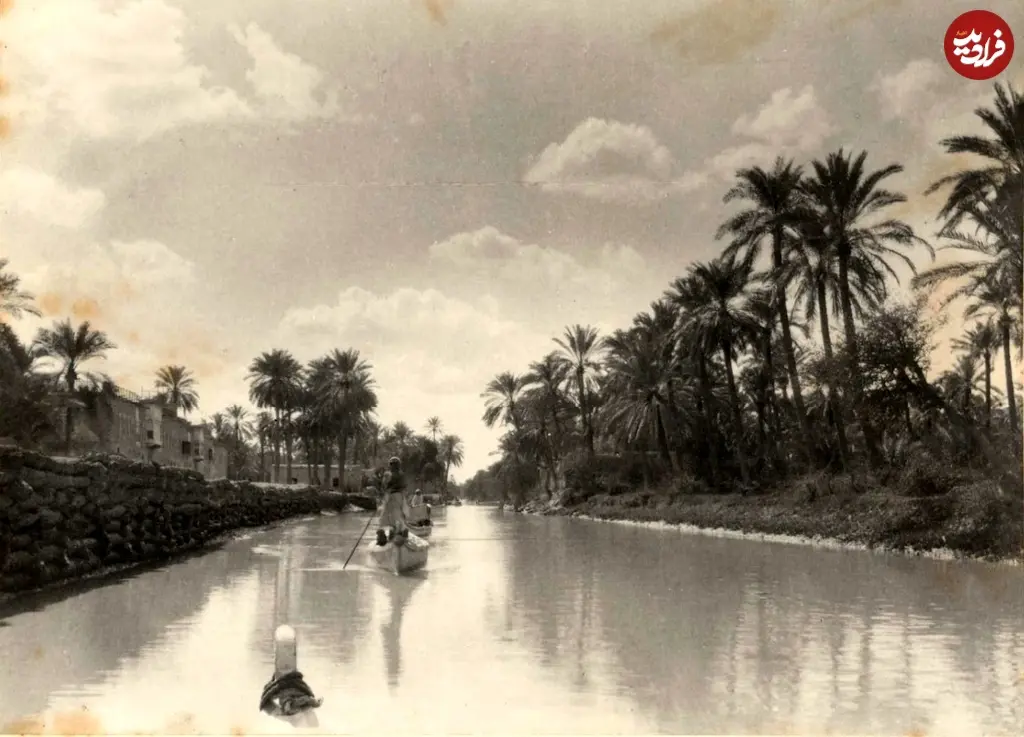 اروند