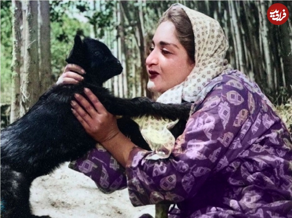 hgbn3000_1634279849_2684856428282682859_11671333881