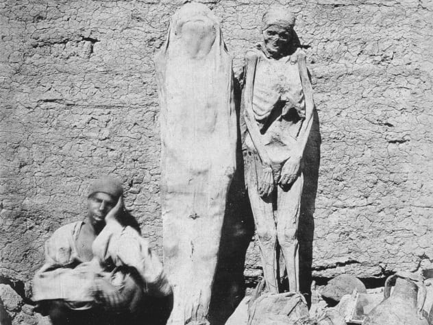 2_mummies-for-sale-1875