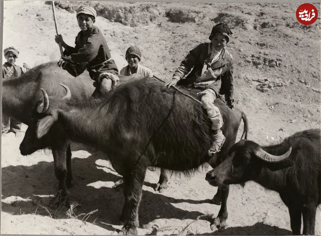 اردبیل