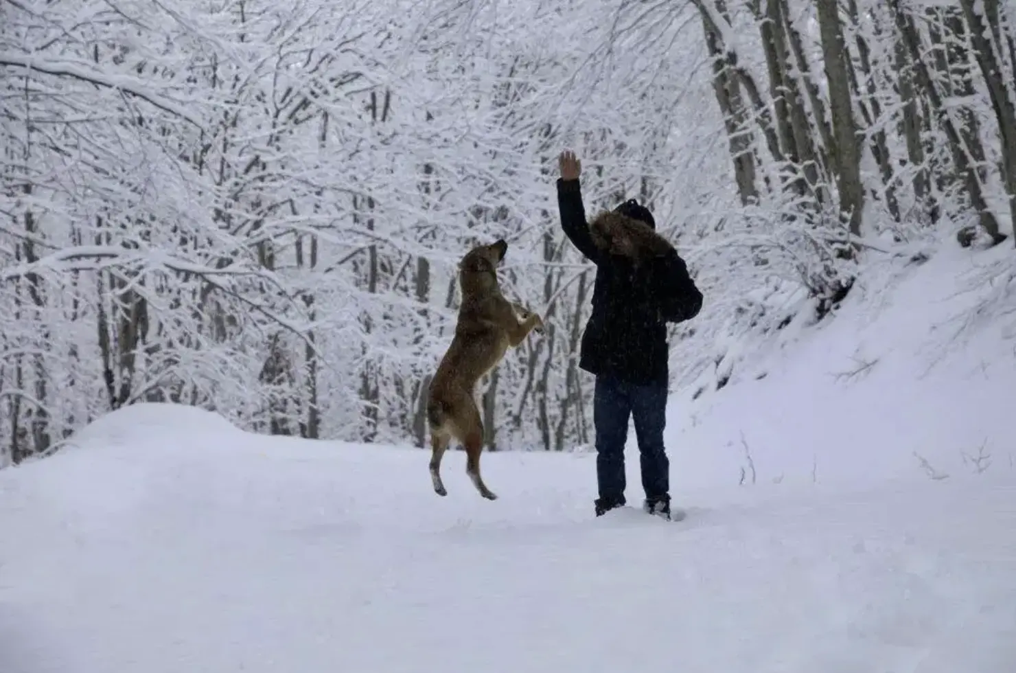 Screenshot 2026-01-16 201652