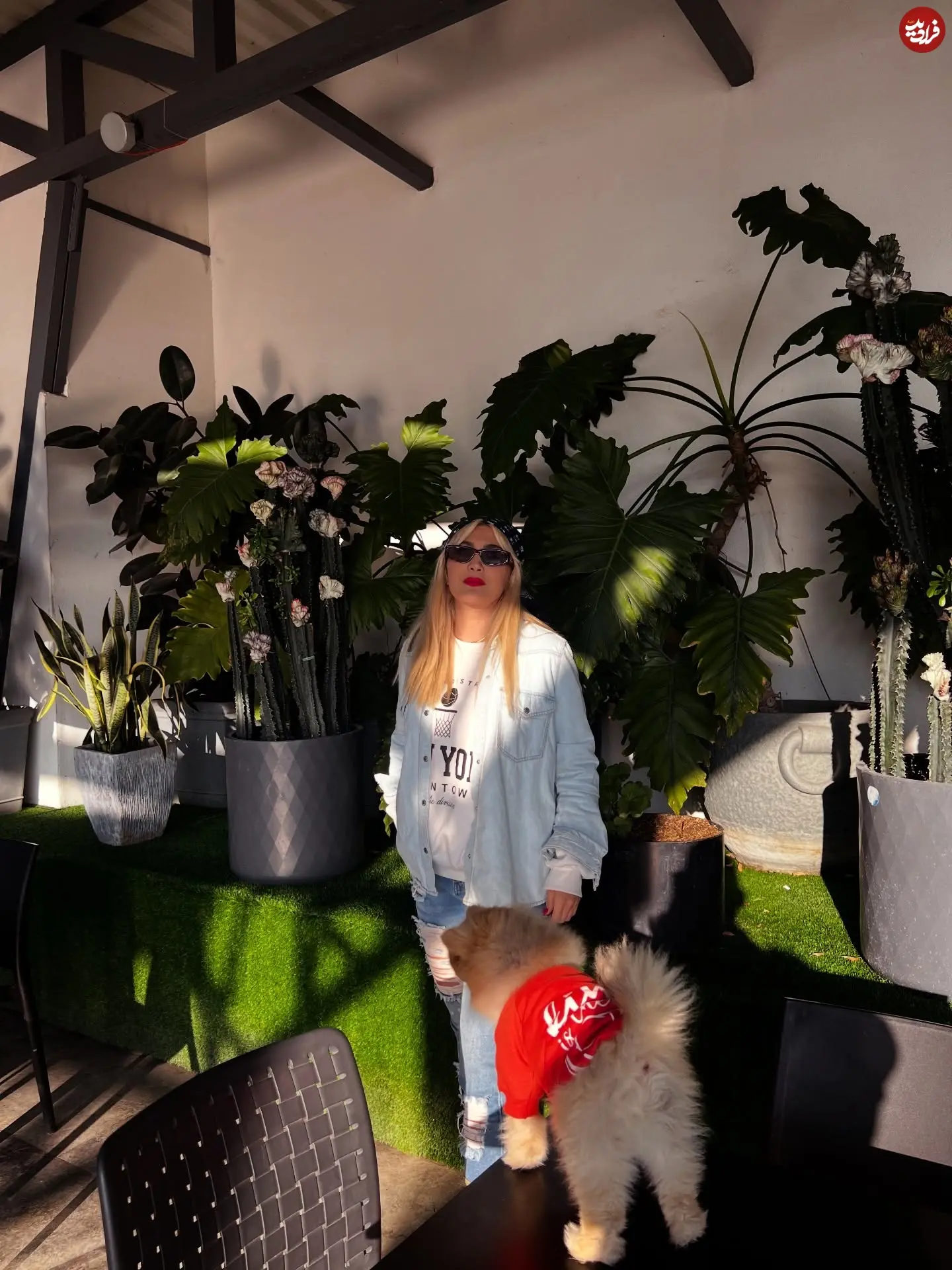 maryammasoumi__1766136047_3790946386553221105_1251077275