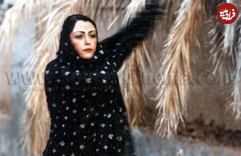 پروانه ای در باد