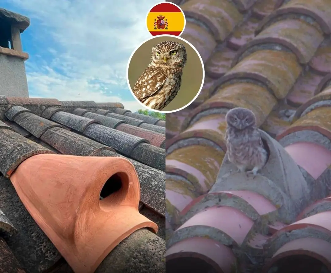 6588b11bZjoyNDk0NzMwLmpwZ3xmdWk6MjM4ODYyNnxsOmZhfHY6MQ