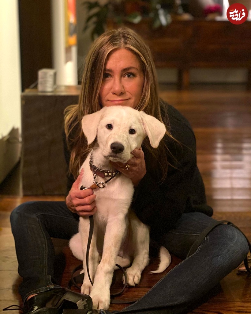 jenniferaniston_1606416643_2451122917804452130_21388754496