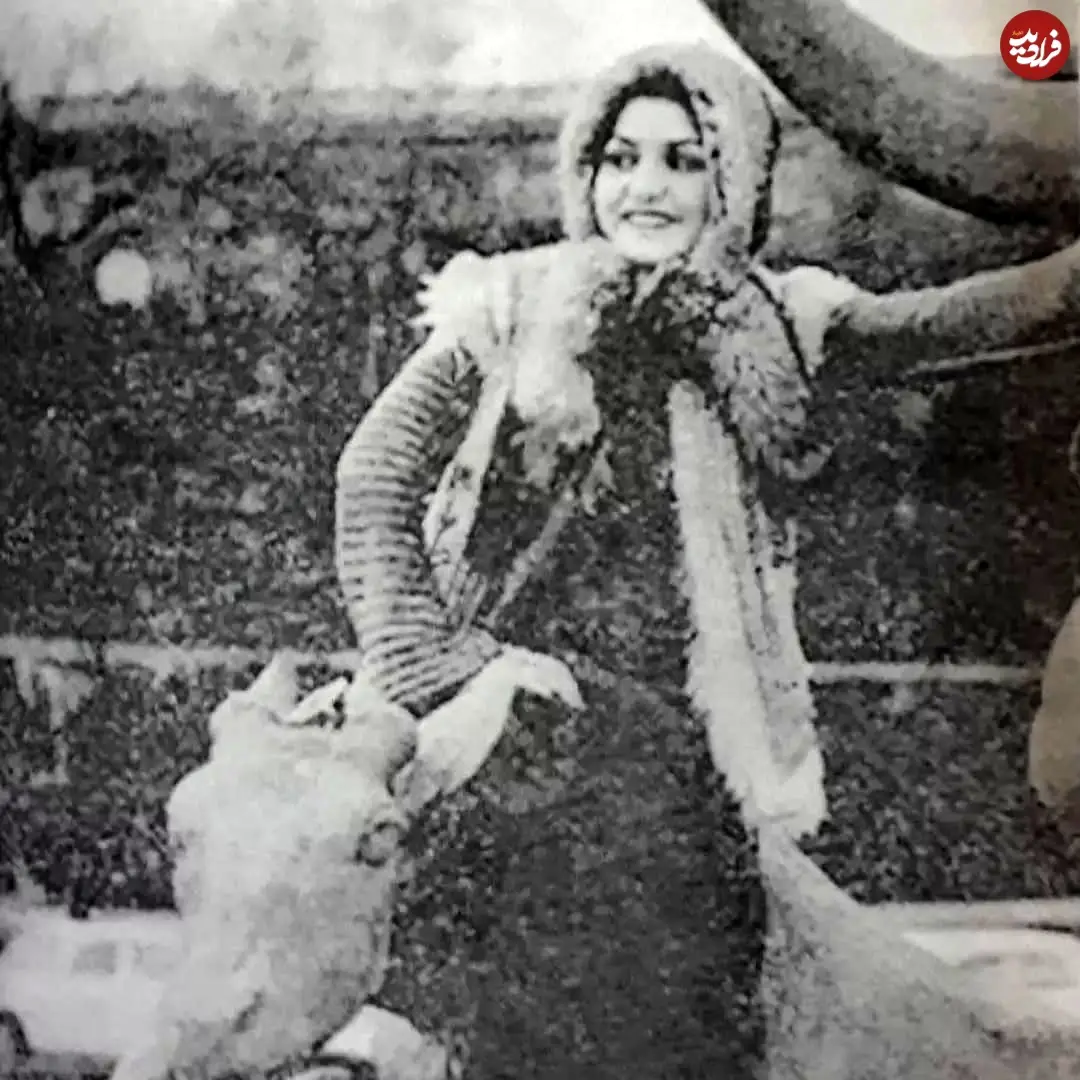 photogoogoosh_1708880692_3310653663214150624_47171307983_11zon