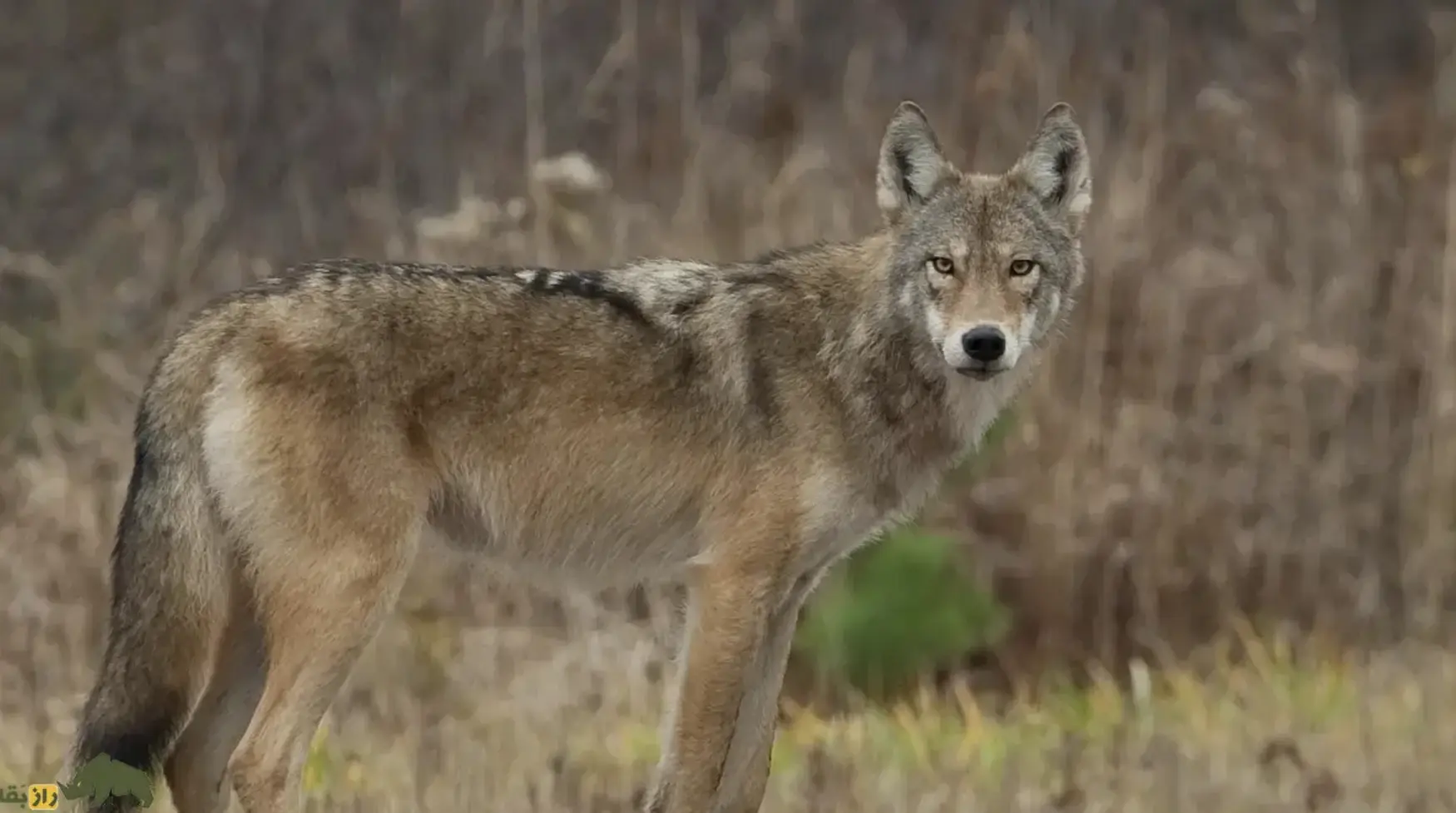 Screenshot 2026-01-21 223902