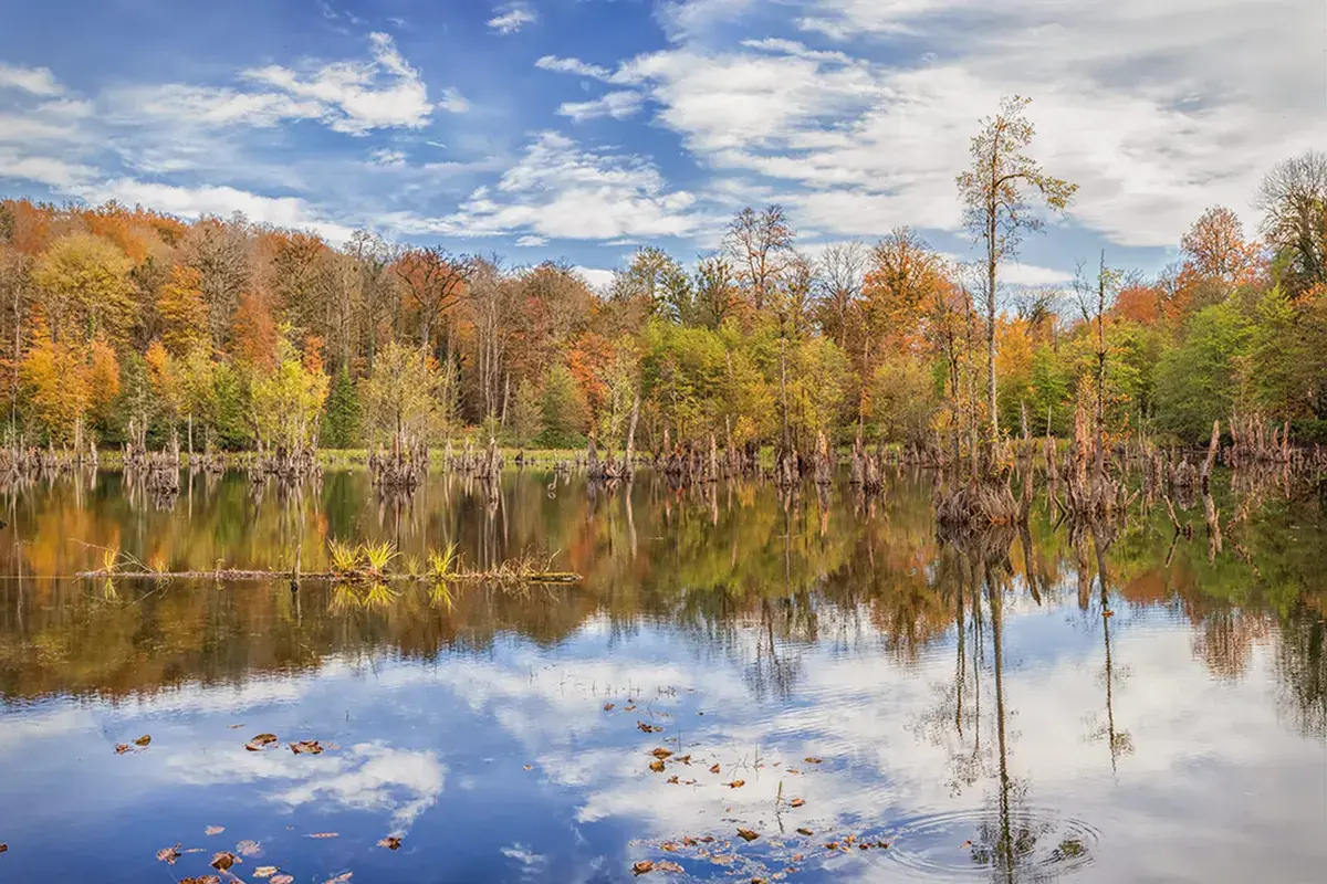 دریاچه زریوار 