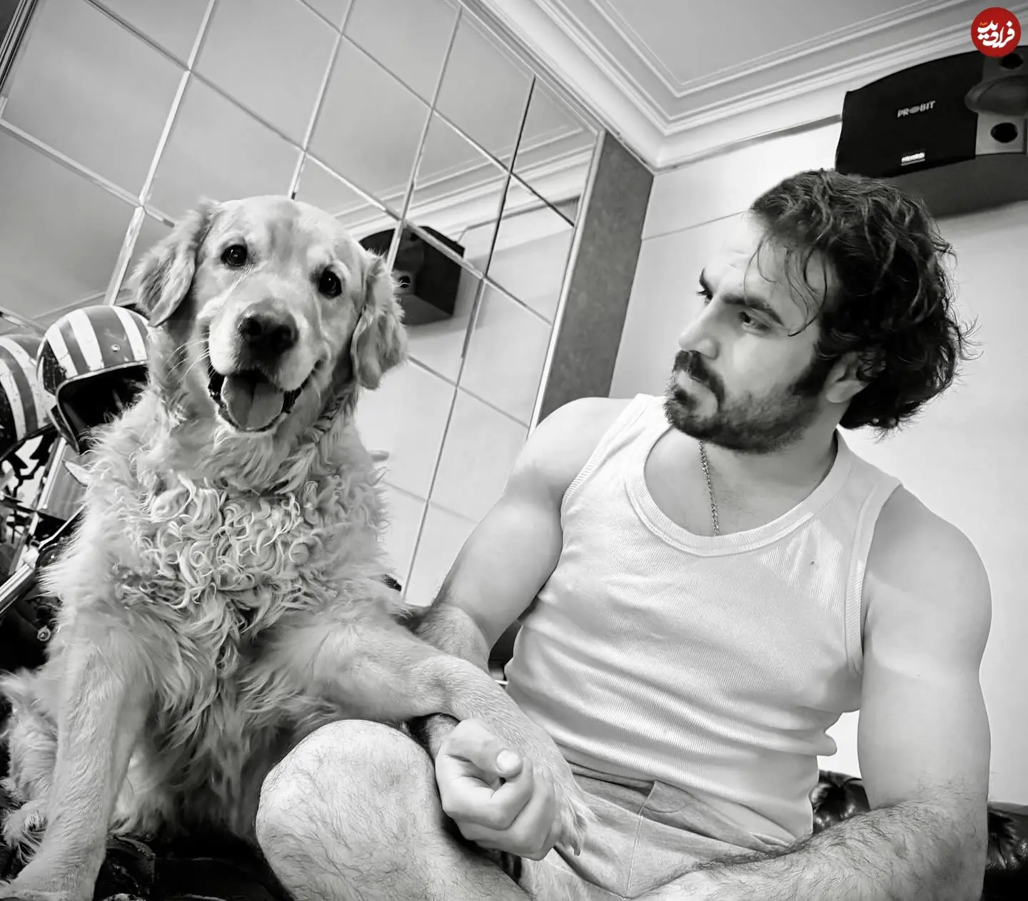 mohammadrezahelalzadeh_1761986206_3756135000429961241_493376892