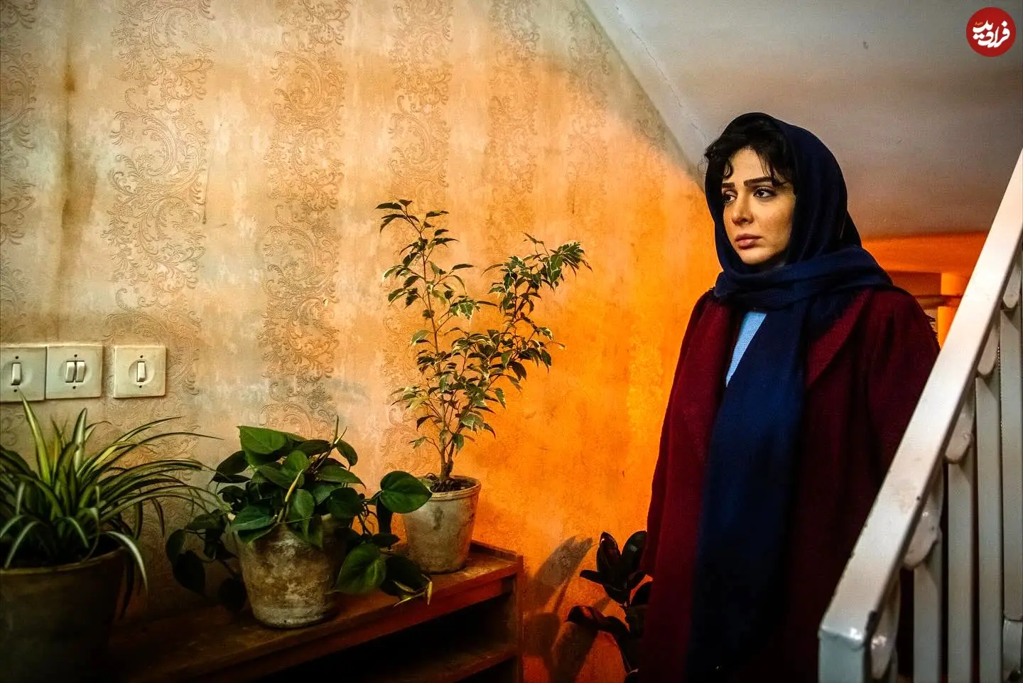 elmiradehghani_1760989586_3747774748122971130_1177999797