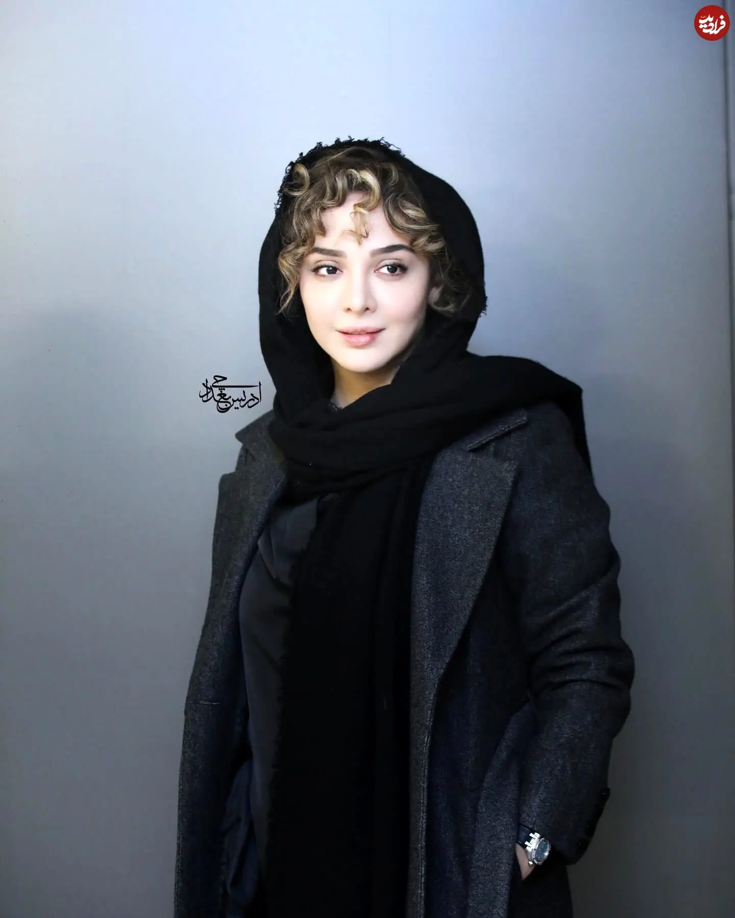 elmiradehghani_1738342791_3557799660919751778_1177999797