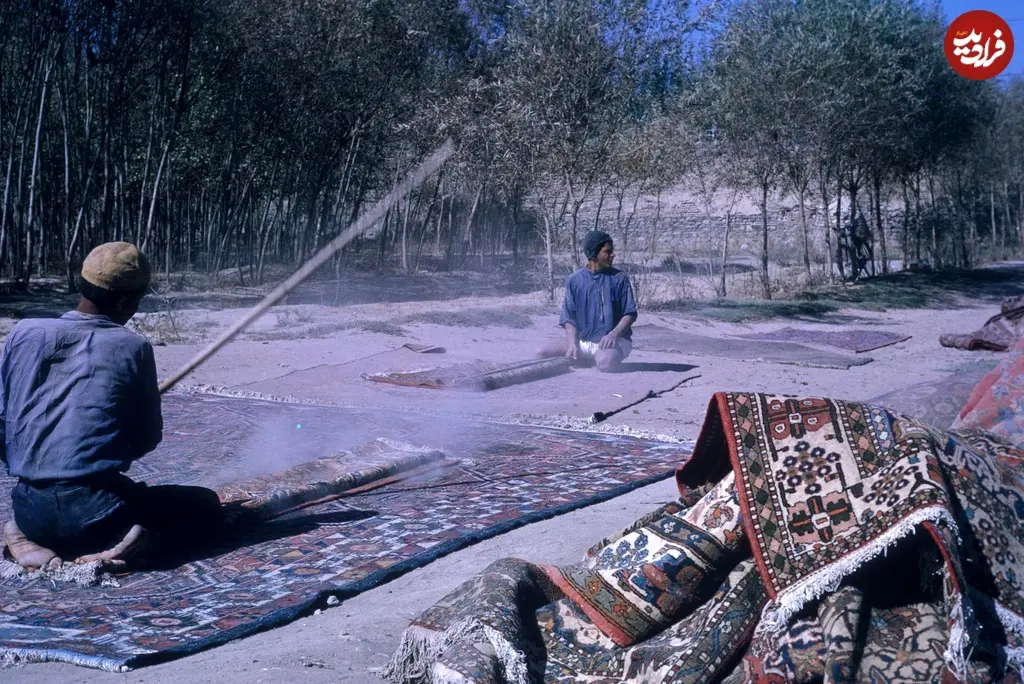 تکاندن قالی