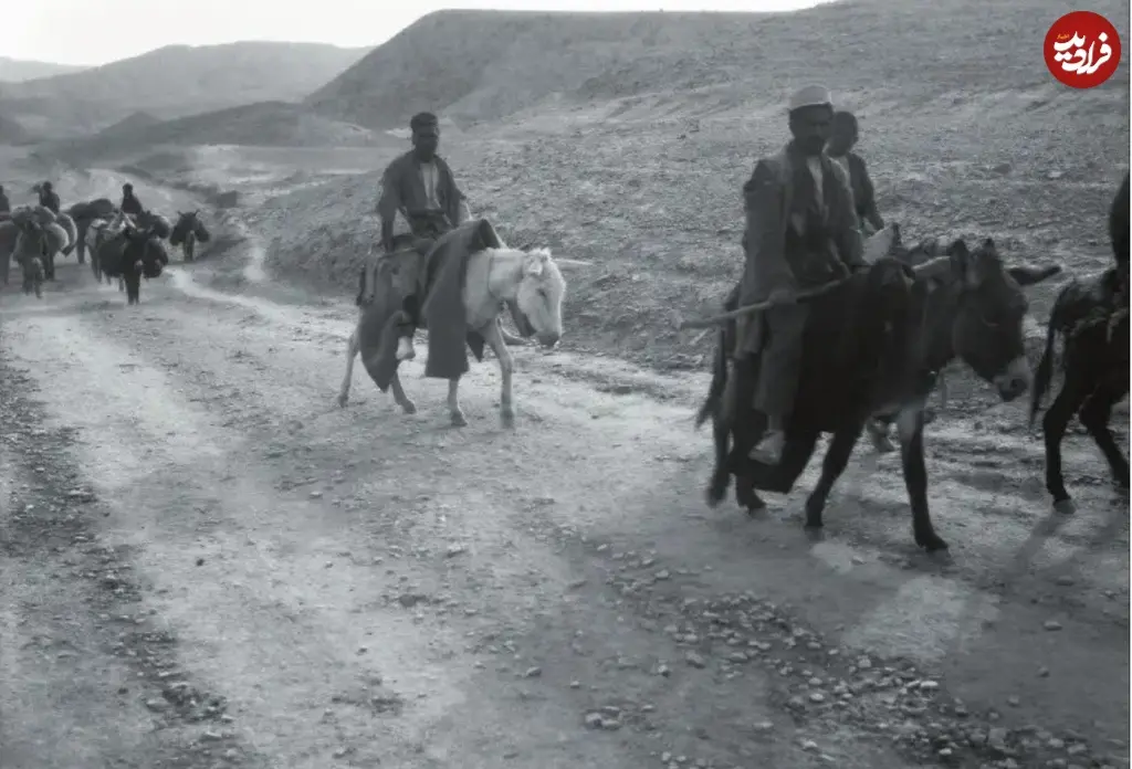 قشقایی بوشهر به شیراز11