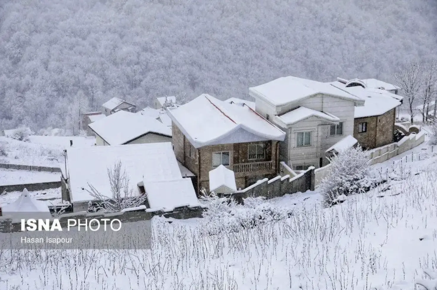 Screenshot 2026-01-16 201610