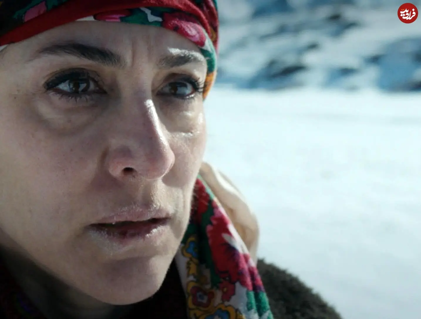 littledreampictures_1747657546_3635937490009545466_12989604771