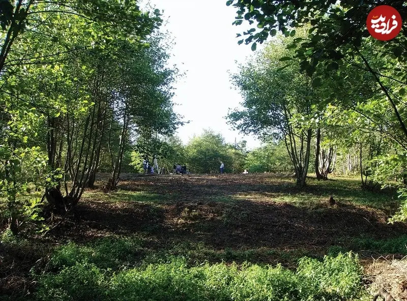 کشف بقایای 4 هزارسالۀ «ارزن» در اعماق یک تپۀ باستانی