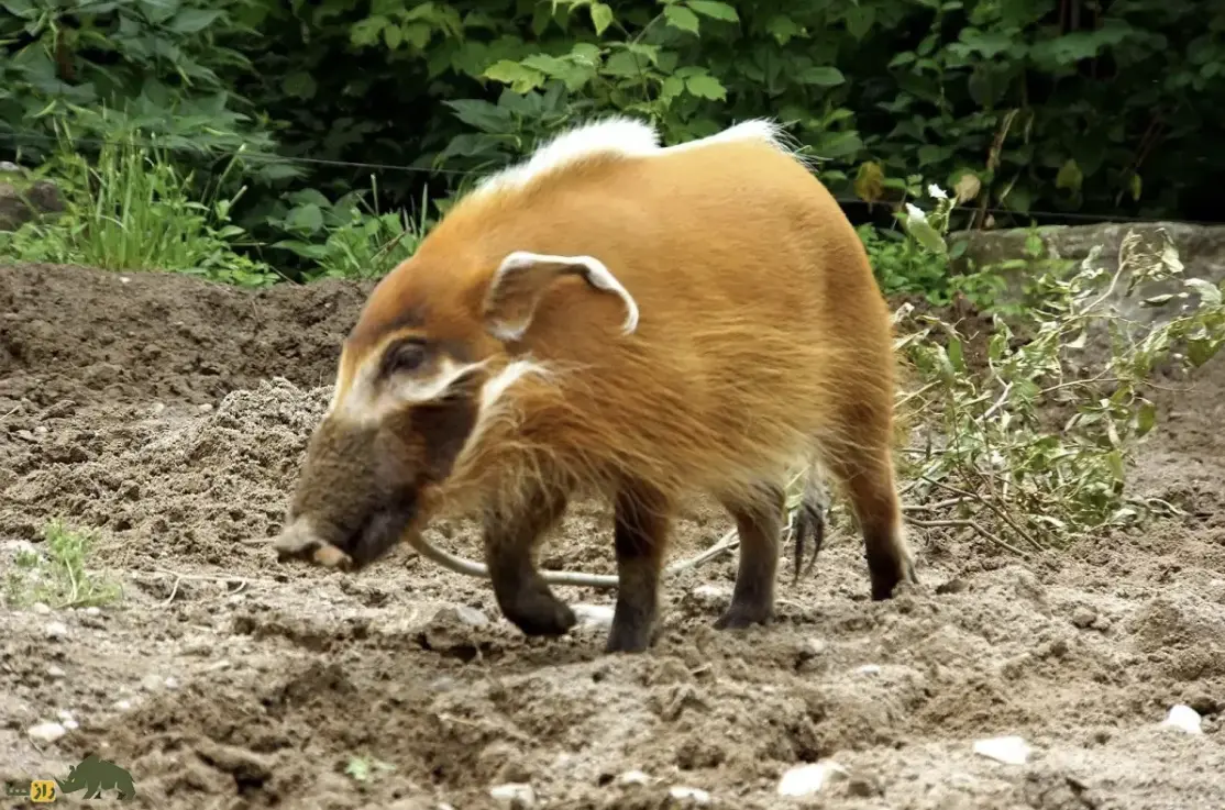 Screenshot 2026-01-21 230824