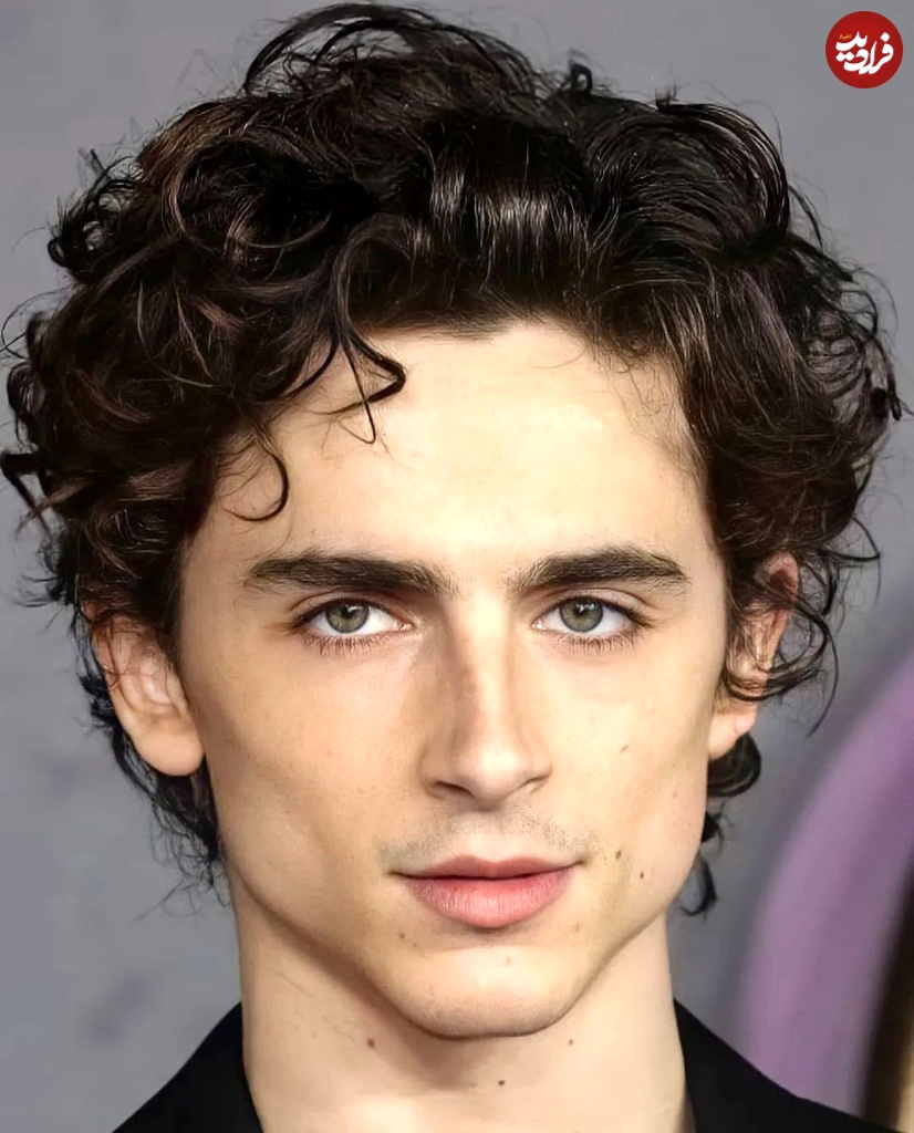 alliechalamet75_1718366557_3390226860291177849_62777117426_11zon