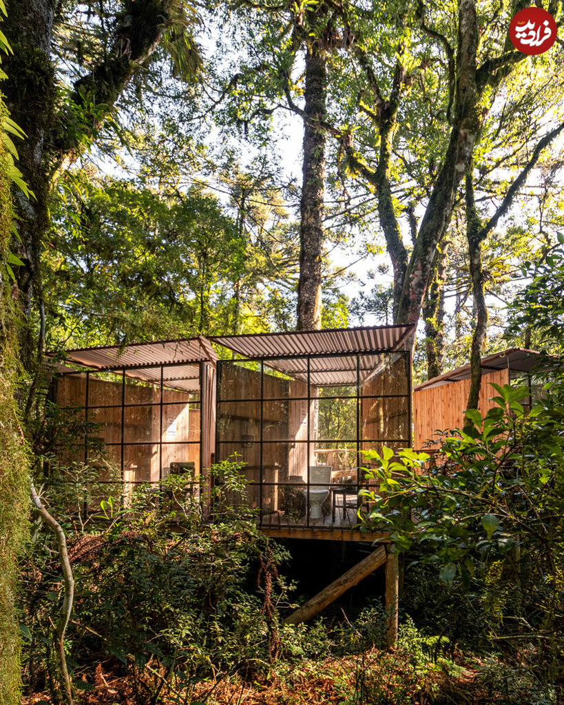 wooden-toilet-cabins-treetops-native-forest-sao-francisco-luiza-jung-arquitetura-designboom-1