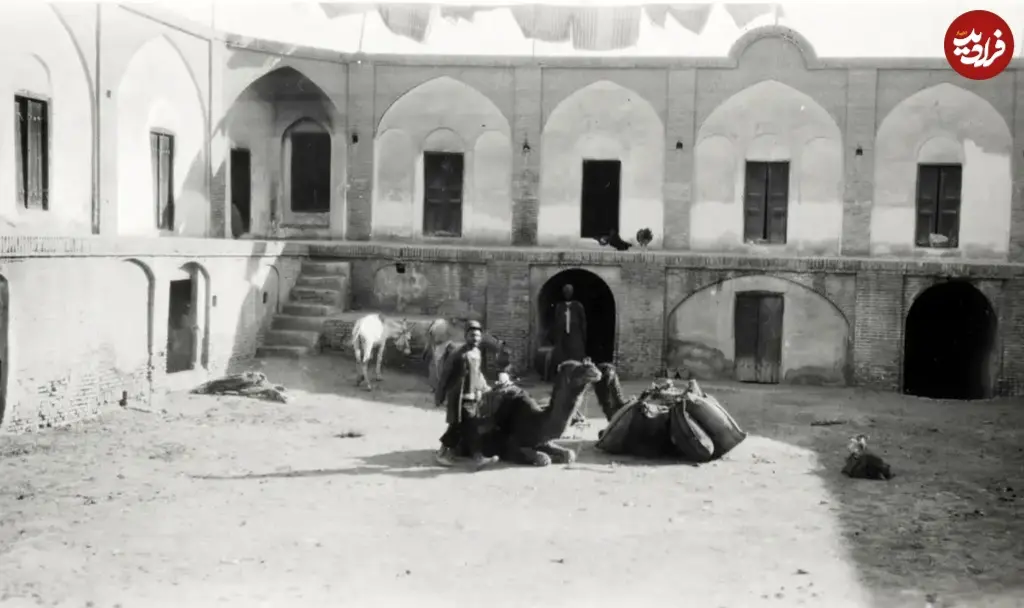 شتر کاروانسرا