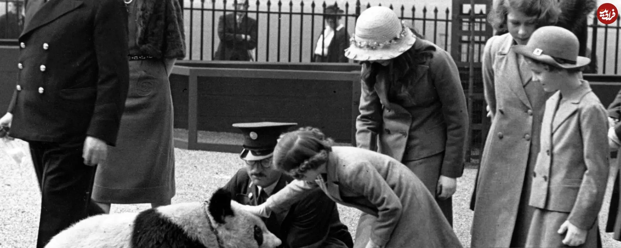 عکس| سفر در زمان؛ «ملکه الیزابت دوم» در حال نوازش یک بچه پاندا در یک باغ وحش؛ سال 1318