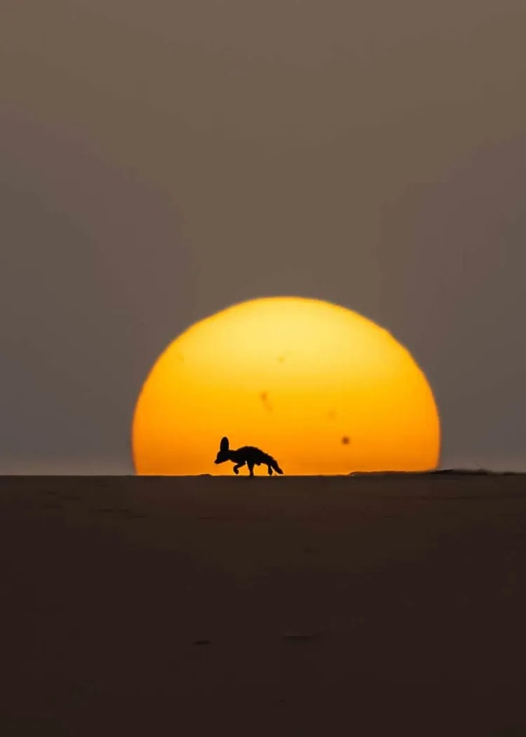 13_11zon