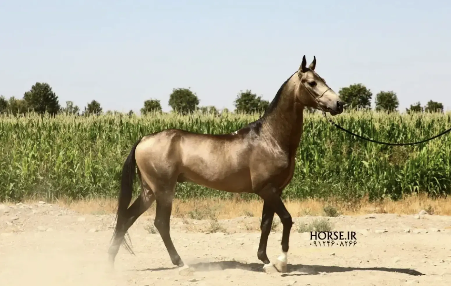 Screenshot 2026-01-21 225702