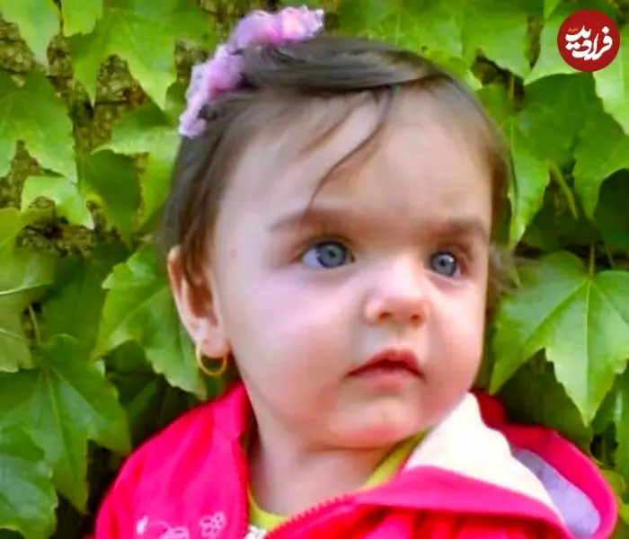 نیوشا-علیپور