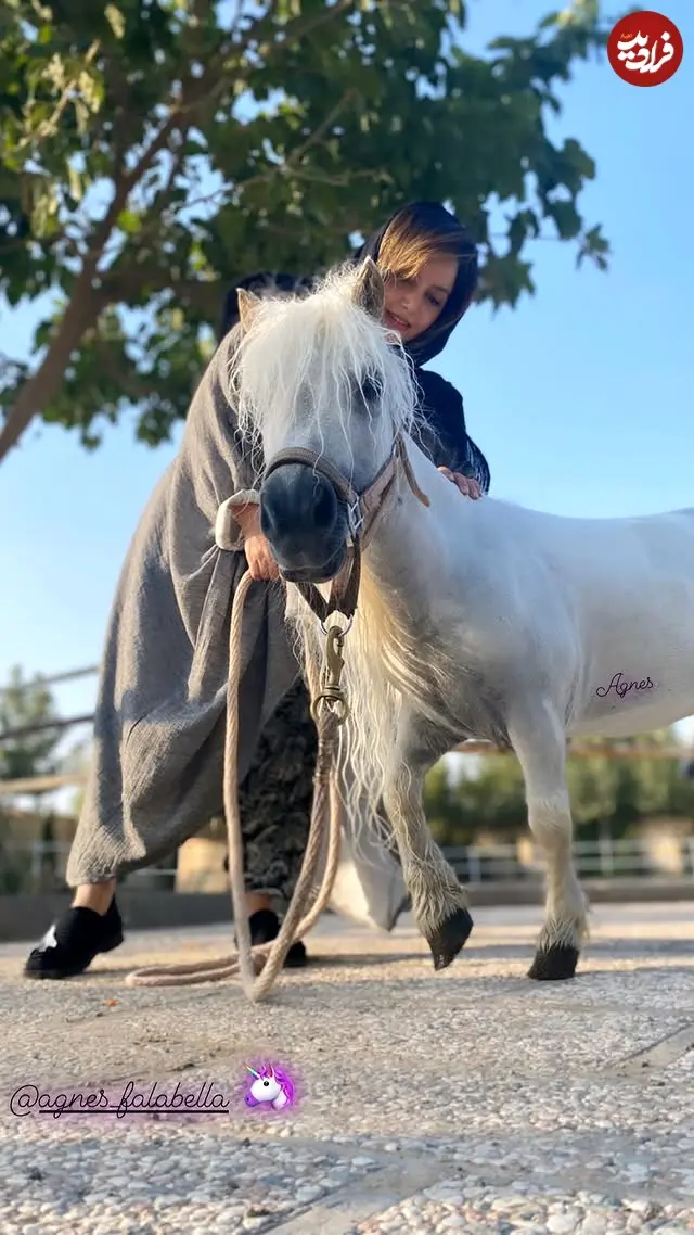 555996805_18097557169578657_2634414666358417813_n