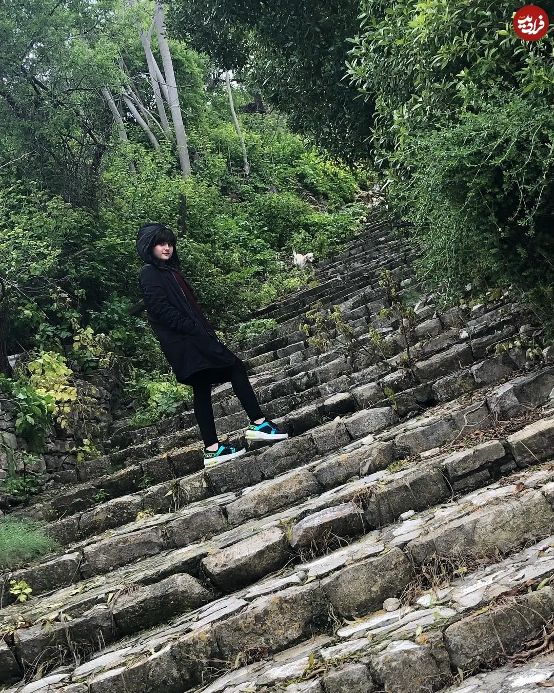 saraforghaniofficial_1554753267_2017739107299727630_6672747680