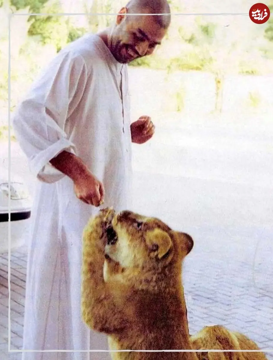 almadina.iq_1770405508_3826761189670258388_45201679764_11zon