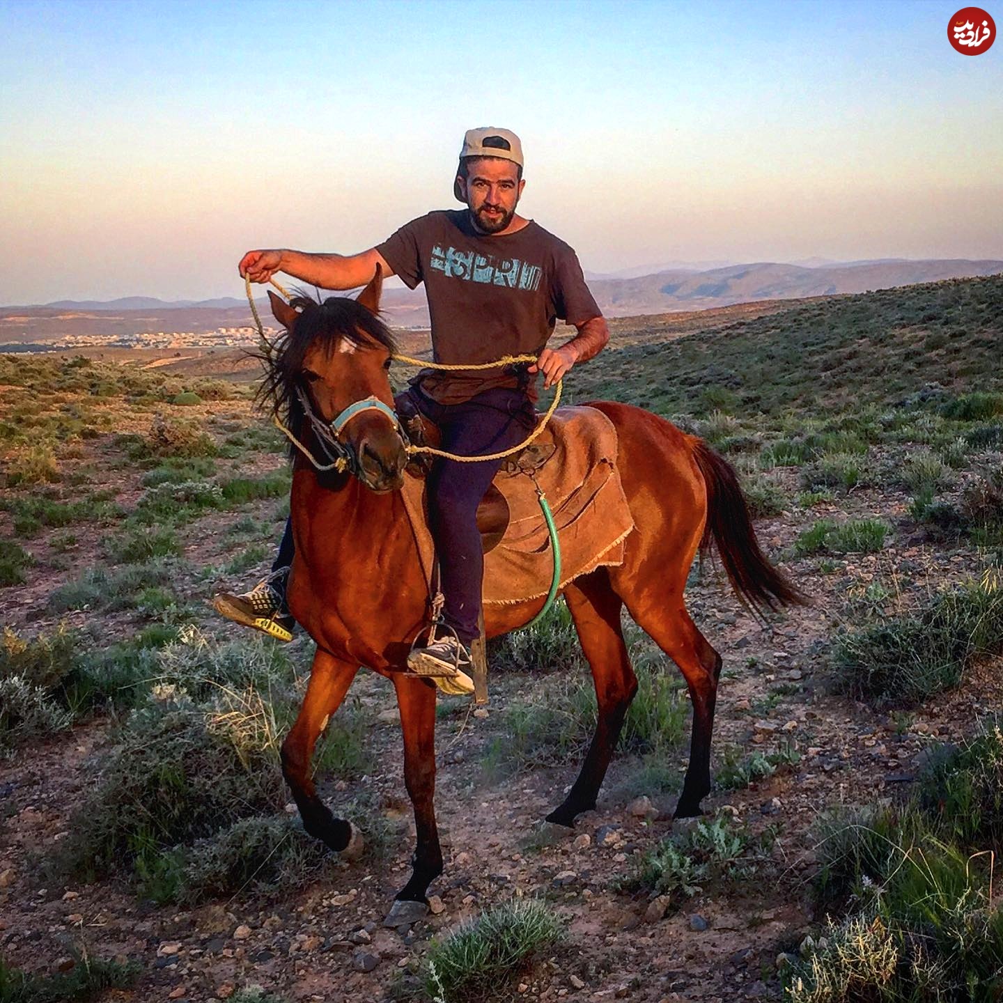 behnamdavari_1589472366_2308984019737582541_1149608341