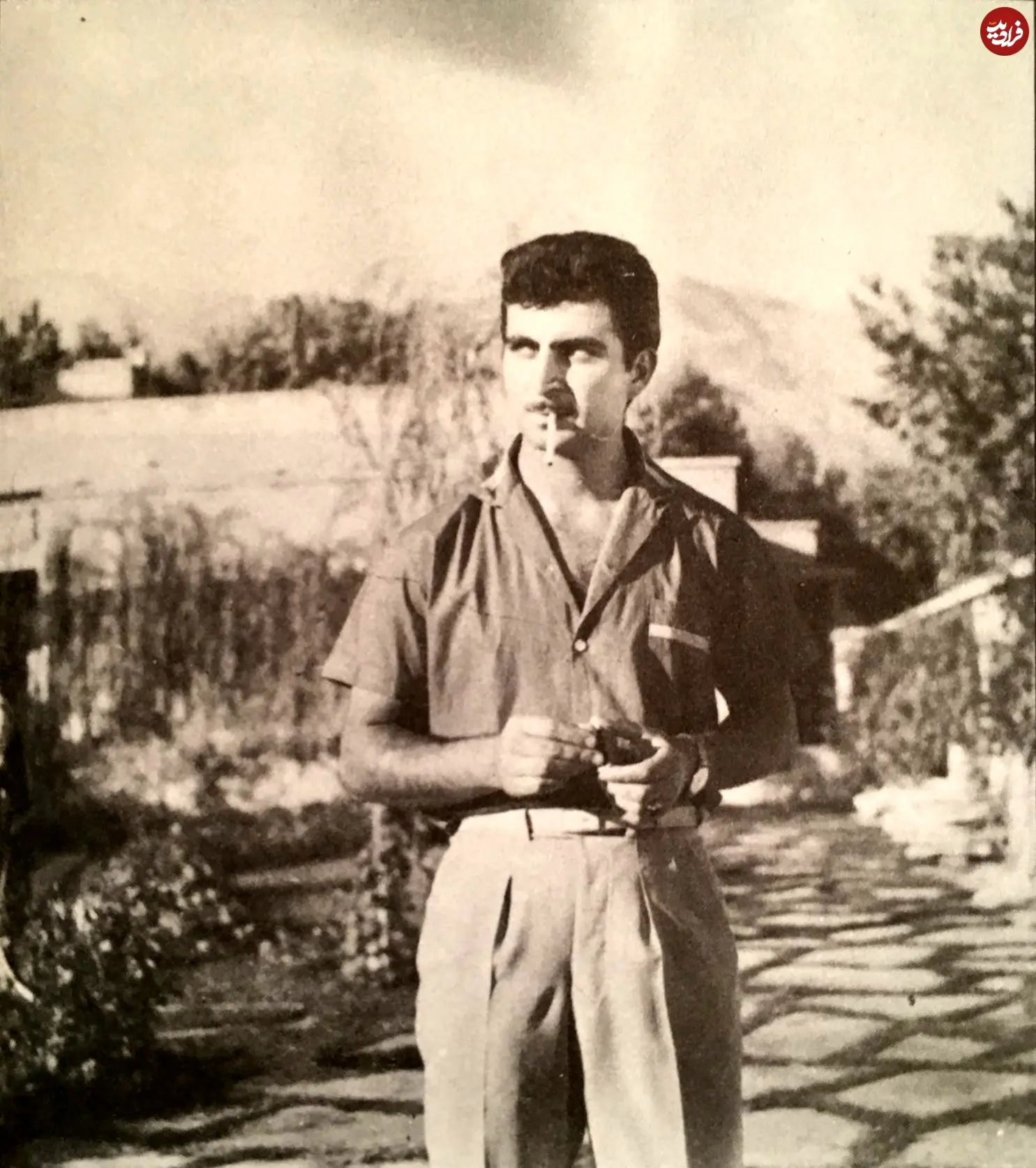 464602748_8561785207191462_392856577811079826_n